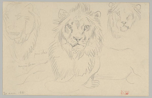 A Lion  Full Face  August 30  1841 1841-Eugène Delacroix,16x12"(A3)Poster