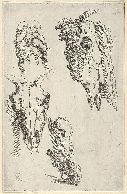 Three ox skulls  two horse skulls  and a grotesque head  study,  Poster Print Wall Art