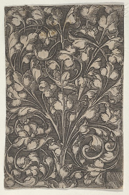 Attributed to Heinrich Aldegrever:Vertical Panel with Scroll-16x12"(A3) Poster