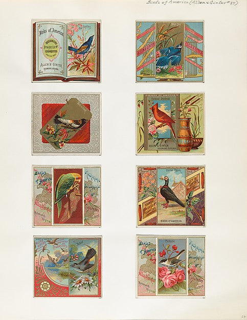 :Album 202 page 27 1884–93-16x12"(A3) Poster