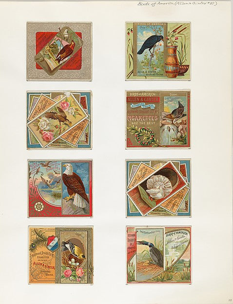 :Album 202 page 28 1884–93-16x12"(A3) Poster