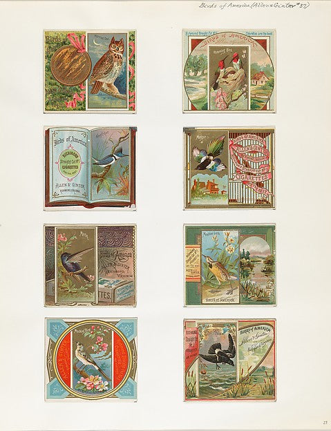 :Album 202 page 29 1884–93-16x12"(A3) Poster