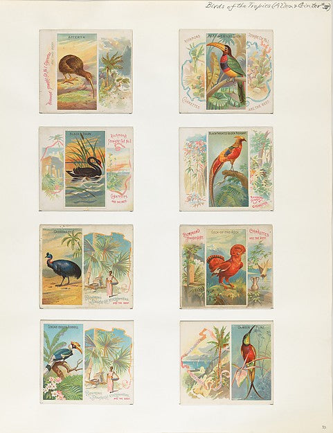 :Album 202 page 33 1884–93-16x12"(A3) Poster