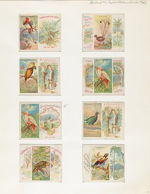 :Album 202 page 35 1884–93-16x12"(A3) Poster