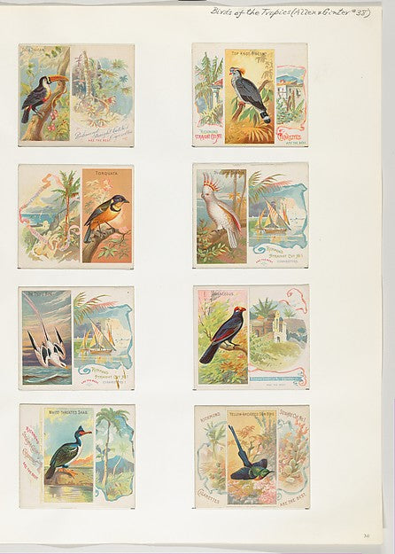 :Album 202 page 38 1884–93-16x12"(A3) Poster