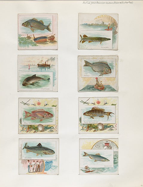 :Album 202 page 42 1884–93-16x12"(A3) Poster