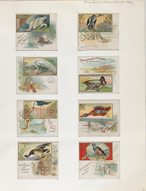 :Album 202 page 46 1884–93-16x12"(A3) Poster