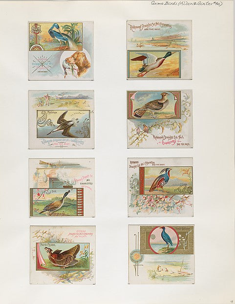 :Album 202 page 49 1884–93-16x12"(A3) Poster