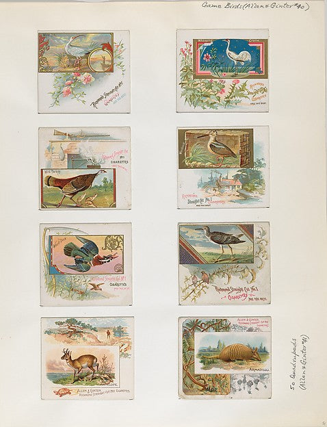 :Album 202 page 51 1884–93-16x12"(A3) Poster