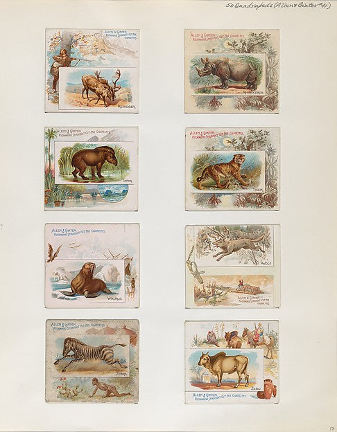 :Album 202 page 57 1884–93-16x12"(A3) Poster