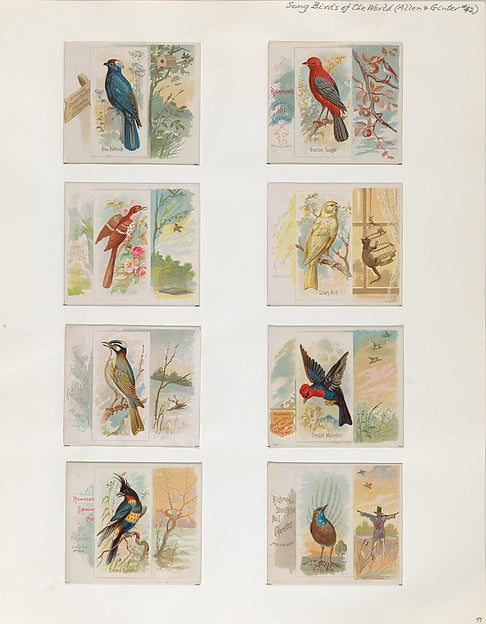 :Album 202 page 59 1884–93-16x12"(A3) Poster