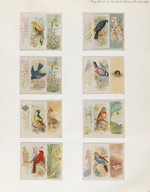 :Album 202 page 60 1884–93-16x12"(A3) Poster