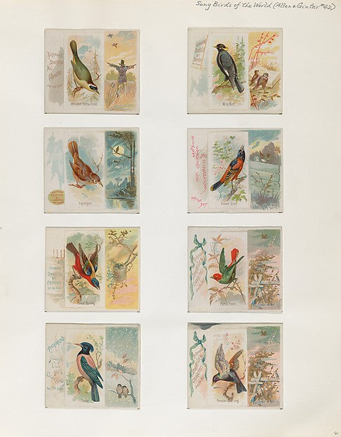 :Album 202 page 61 1884–93-16x12"(A3) Poster