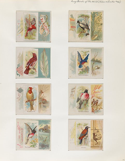 :Album 202 page 62 1884–93-16x12"(A3) Poster