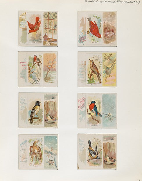 :Album 202 page 63 1884–93-16x12"(A3) Poster