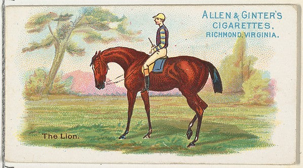 :The Lion from The World's Racers series for Allen & Ginter -16x12"(A3) Poster
