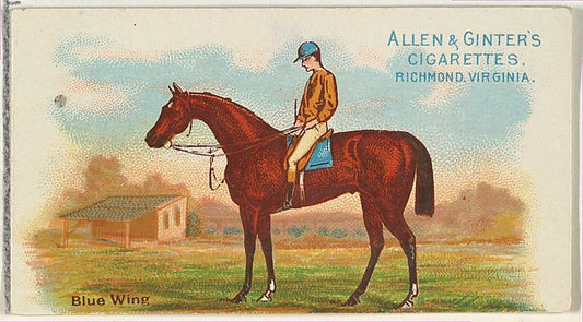 :Blue Wing from The World's Racers series for Allen & Ginter-16x12"(A3) Poster