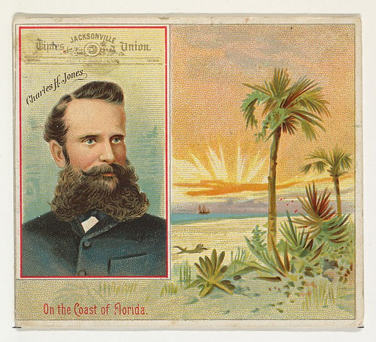 :Charles H. Jones Jacksonville Times Union from the American-16x12"(A3) Poster