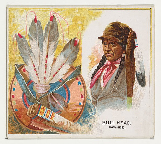 :Bull Head Pawnee from the American Indian Chiefs series for-16x12"(A3) Poster