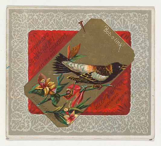 :Bob-o-link from the Birds of America series for Allen & Gin-16x12"(A3) Poster