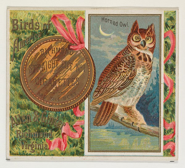 :Horned Owl from the Birds of America series for Allen & Gin-16x12"(A3) Poster