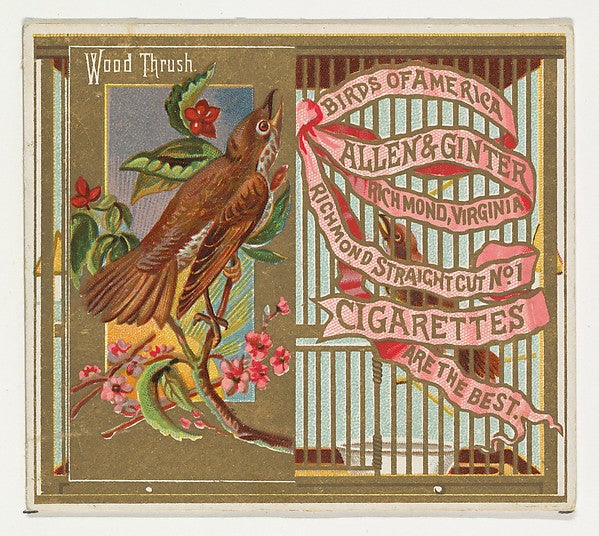 :Wood Thrush from the Birds of America series for Allen & Gi-16x12"(A3) Poster