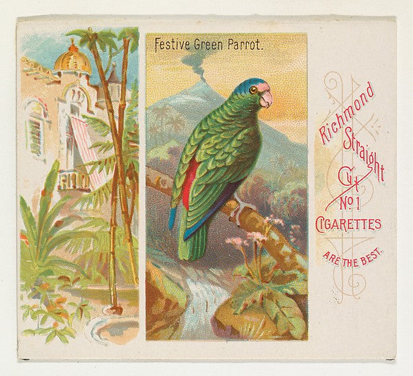 :Festive Green Parrot from Birds of the Tropics series for A-16x12"(A3) Poster