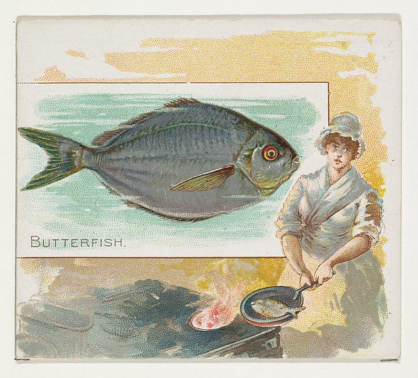 :Butterfish from Fish from American Waters series for Allen -16x12"(A3) Poster