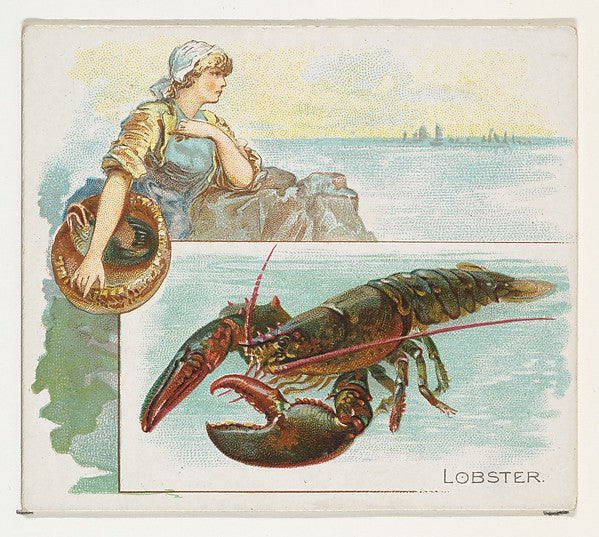 :Lobster from Fish from American Waters series for Allen & G-16x12"(A3) Poster