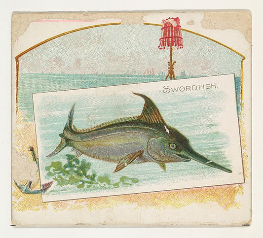 :Swordfish from Fish from American Waters series for Allen &-16x12"(A3) Poster
