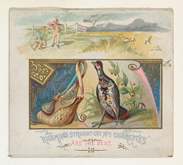 :Canada Grouse from the Game Birds series for Allen & Ginter-16x12"(A3) Poster