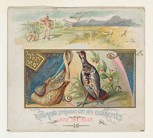 :Canada Grouse from the Game Birds series for Allen & Ginter-16x12"(A3) Poster