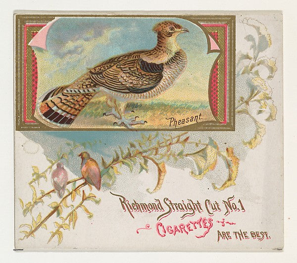 :Pheasant from the Game Birds series for Allen & Ginter Ciga-16x12"(A3) Poster