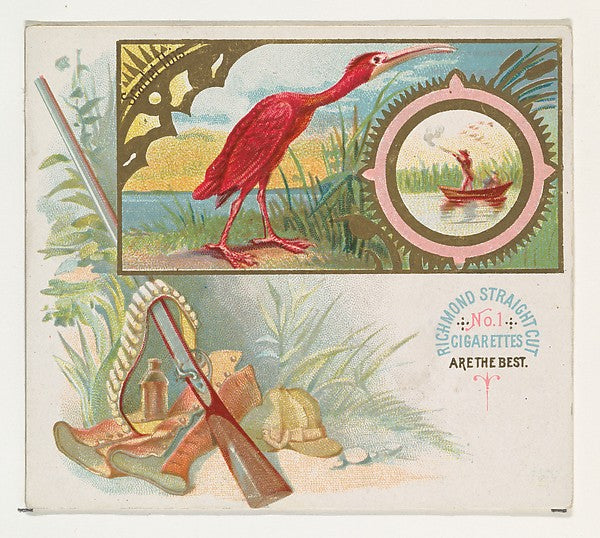 :Scarlet Ibis from the Game Birds series for Allen & Ginter -16x12"(A3) Poster