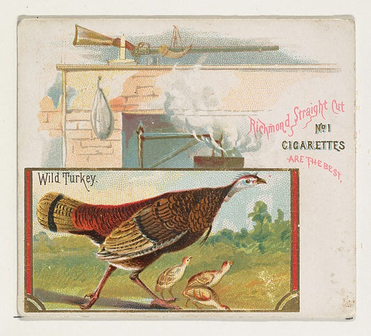 :Wild Turkey from the Game Birds series for Allen & Ginter C-16x12"(A3) Poster