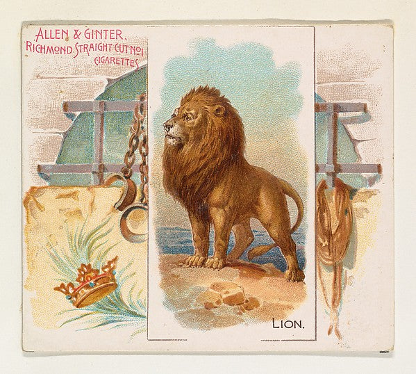 :Lion from Quadrupeds series for Allen & Ginter Cigarettes 1-16x12"(A3) Poster