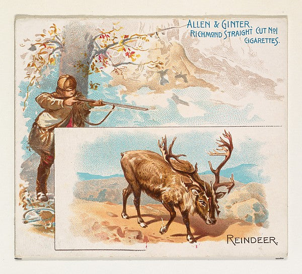 :Reindeer from Quadrupeds series for Allen & Ginter Cigarett-16x12"(A3) Poster