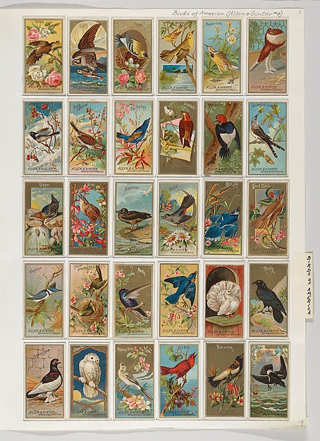 :Album 201 page 7-16x12"(A3) Poster