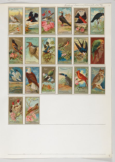 :Album 201 page 8-16x12"(A3) Poster