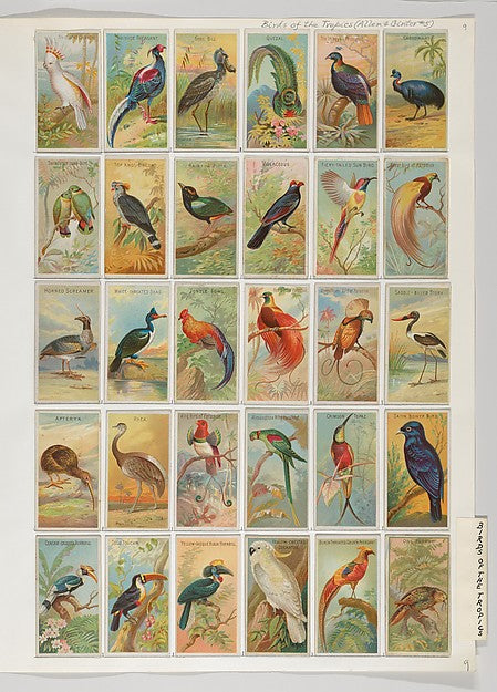 :Album 201 page 9-16x12"(A3) Poster