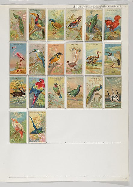 :Album 201 page 10-16x12"(A3) Poster