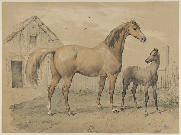 Victor Adam:Mare and Foal 19th century-16x12"(A3) Poster