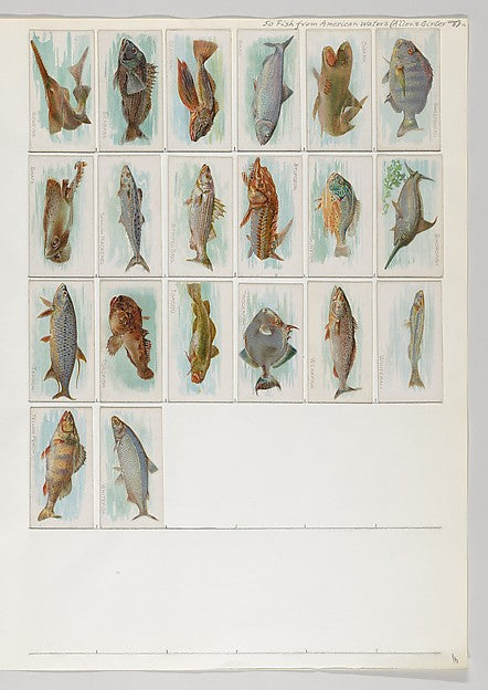 :Album 201 page 16-16x12"(A3) Poster