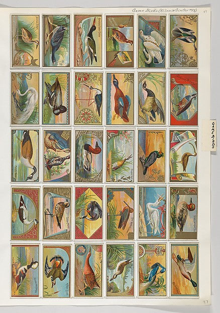 :Album 201 page 27-16x12"(A3) Poster