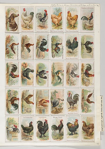 :Album 201 page 43-16x12"(A3) Poster