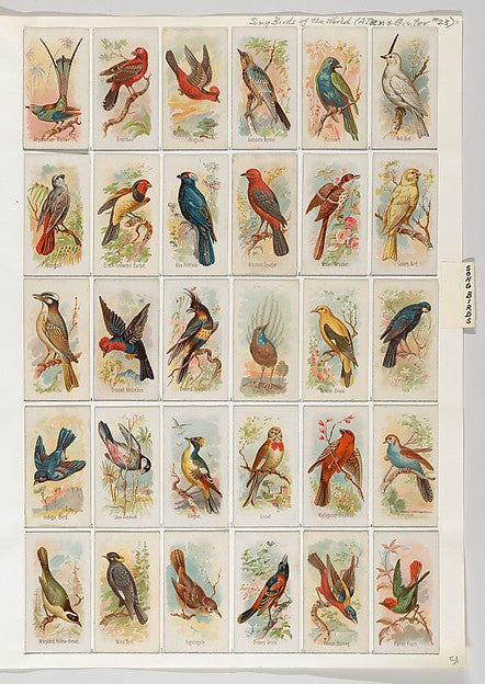 :Album 201 page 51-16x12"(A3) Poster