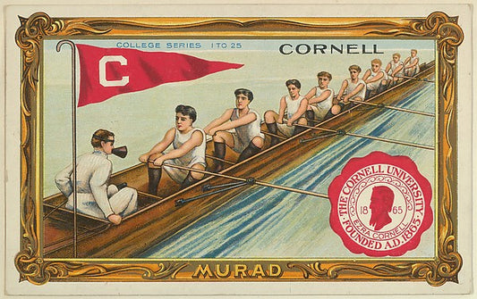 :Cornell version one part of the College Series cabinet card-16x12"(A3) Poster
