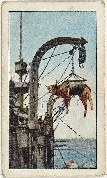 Historic photograph by Underwood & Underwood - Card No. 75 Fre, Poster Print Wall Art