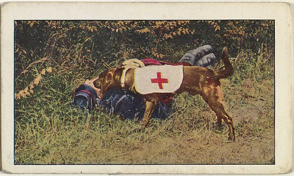 Historic photograph by Underwood & Underwood - Card No. 88 A C, Poster Print Wall Art