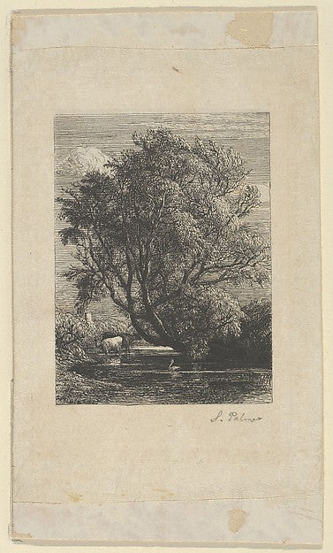 The Willow 1850-Samuel Palmer,16x12"(A3)Poster